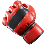 MMA Icon